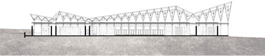 Longitudinal Section